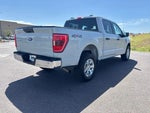 2023 F-150 Thumbnail 26