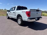 2023 F-150 Thumbnail 29