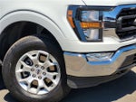 2023 F-150 Thumbnail 5