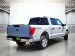 2023 F-150 Thumbnail 7