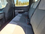 2023 F-150 Thumbnail 15