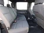2023 F-150 Thumbnail 10