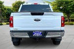 2023 F-150 Thumbnail 4