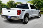 2023 F-150 Thumbnail 13