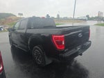 2023 F-150 Thumbnail 4
