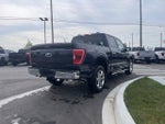 2023 F-150 Thumbnail 5