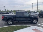 2023 F-150 Thumbnail 6
