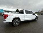 2023 F-150 Thumbnail 10