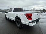 2023 F-150 Thumbnail 14