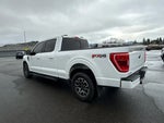 2023 F-150 Thumbnail 16