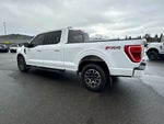 2023 F-150 Thumbnail 17