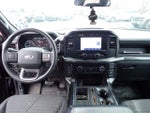 2023 F-150 Thumbnail 12