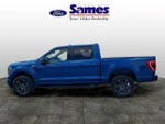 2023 F-150 Thumbnail 8