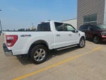 2023 F-150 Thumbnail 4