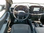 2023 F-150 Thumbnail 10