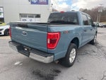 2023 F-150 Thumbnail 4