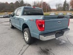 2023 F-150 Thumbnail 6