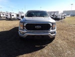 2023 F-150 Thumbnail 4
