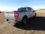 2023 F-150 Thumbnail 7