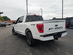 2023 F-150 Thumbnail 8