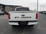 2023 F-150 Thumbnail 9