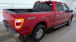2021 F-150 Thumbnail 4