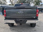 2021 F-150 Thumbnail 5