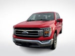 2021 F-150 Thumbnail 4