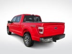 2021 F-150 Thumbnail 7