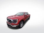 2022 F-150 Thumbnail 4
