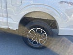 2022 F-150 Thumbnail 10