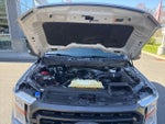 2022 F-150 Thumbnail 17