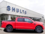 2022 F-150 Thumbnail 4