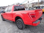 2022 F-150 Thumbnail 5
