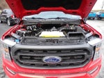 2022 F-150 Thumbnail 16
