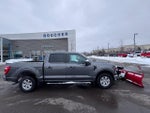 2023 F-150 Thumbnail 4