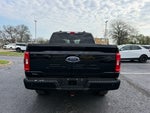 2023 F-150 Thumbnail 6