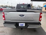 2023 F-150 Thumbnail 7