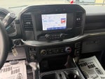 2023 F-150 Thumbnail 20