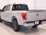 2023 F-150 Thumbnail 8