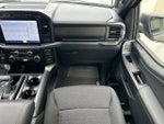 2023 F-150 Thumbnail 13