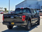 2023 F-150 Thumbnail 4