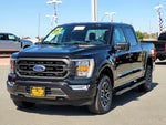 2023 F-150 Thumbnail 8