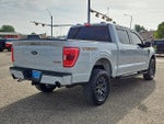2023 F-150 Thumbnail 3