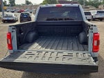 2023 F-150 Thumbnail 9