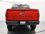 2023 F-150 Thumbnail 6