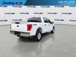 2023 F-150 Thumbnail 8
