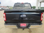 2023 F-150 Thumbnail 8