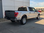 2023 F-150 Thumbnail 4