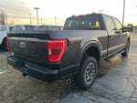 2023 F-150 Thumbnail 5